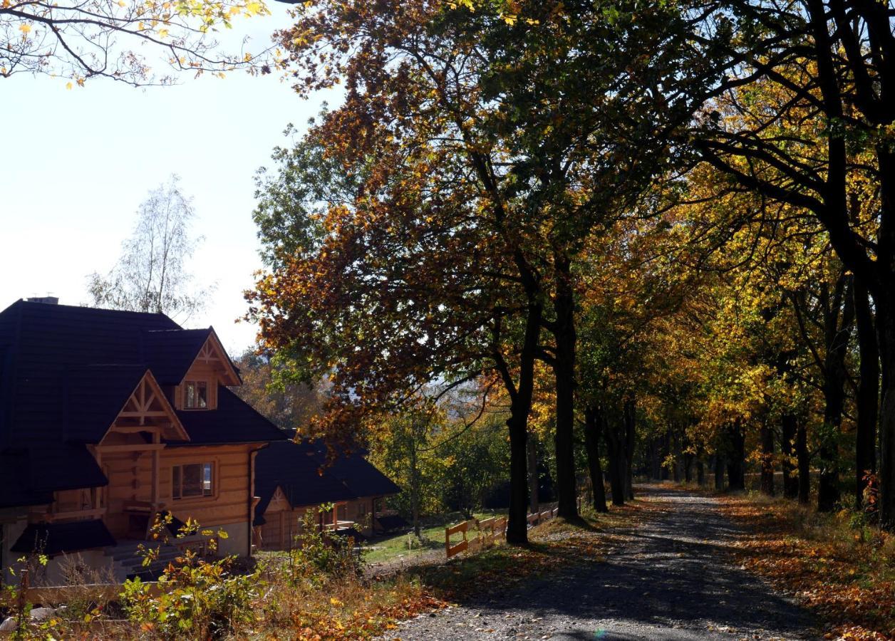 Villa Osada Sudecka à Lądek-Zdrój Extérieur photo